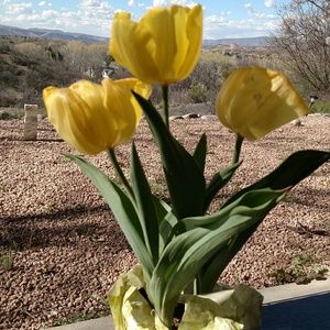 Meet your Posher, Fred